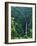 Waterfall near Poas Volcano, Poas Volcano National Park, Costa Rica-Charles Sleicher-Framed Photographic Print