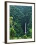 Waterfall near Poas Volcano, Poas Volcano National Park, Costa Rica-Charles Sleicher-Framed Photographic Print