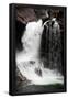 Essential Black