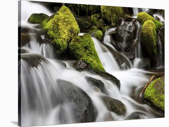 Waterfall, Olympic National Park, Washington, USA-Tom Norring-Stretched Canvas