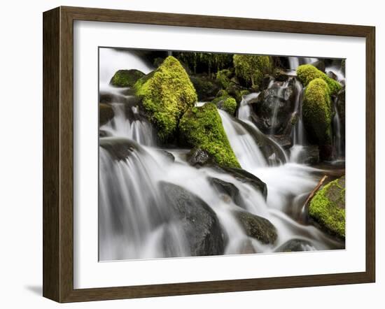 Waterfall, Olympic National Park, Washington, USA-Tom Norring-Framed Premium Photographic Print