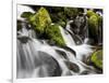 Waterfall, Olympic National Park, Washington, USA-Tom Norring-Framed Photographic Print