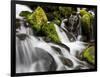 Waterfall, Olympic National Park, Washington, USA-Tom Norring-Framed Photographic Print