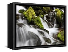 Waterfall, Olympic National Park, Washington, USA-Tom Norring-Framed Stretched Canvas