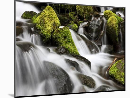 Waterfall, Olympic National Park, Washington, USA-Tom Norring-Mounted Photographic Print