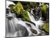 Waterfall, Olympic National Park, Washington, USA-Tom Norring-Mounted Photographic Print