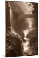 Waterfall on a Rainy Day-Igor Svibilsky-Mounted Photographic Print