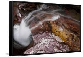 Waterfall on a Stream in Glacier National Park, Glacier County, Montana-Steven Gnam-Framed Stretched Canvas