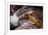 Waterfall on a Stream in Glacier National Park, Glacier County, Montana-Steven Gnam-Framed Photographic Print