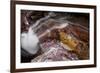 Waterfall on a Stream in Glacier National Park, Glacier County, Montana-Steven Gnam-Framed Photographic Print