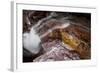 Waterfall on a Stream in Glacier National Park, Glacier County, Montana-Steven Gnam-Framed Photographic Print