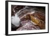 Waterfall on a Stream in Glacier National Park, Glacier County, Montana-Steven Gnam-Framed Photographic Print