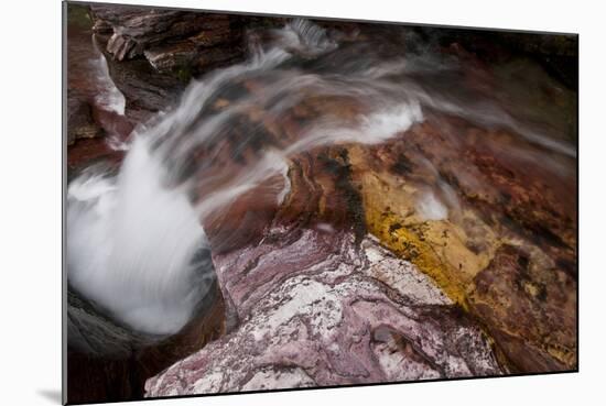 Waterfall on a Stream in Glacier National Park, Glacier County, Montana-Steven Gnam-Mounted Photographic Print