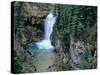 Waterfall on Falls Creek in Lewis and Clark National Forest, Montana, USA-Chuck Haney-Stretched Canvas