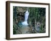 Waterfall on Falls Creek in Lewis and Clark National Forest, Montana, USA-Chuck Haney-Framed Photographic Print