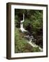 Waterfall on Hoaroak Water, Watersmeet, Lynmouth, Devon, England, United Kingdom-Pearl Bucknall-Framed Photographic Print
