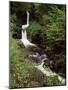 Waterfall on Hoaroak Water, Watersmeet, Lynmouth, Devon, England, United Kingdom-Pearl Bucknall-Mounted Photographic Print