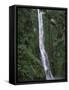 Waterfall on Milford Sound-Franz Marc Frei-Framed Stretched Canvas