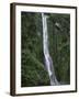 Waterfall on Milford Sound-Franz Marc Frei-Framed Photographic Print