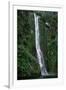 Waterfall on Milford Sound-Franz Marc Frei-Framed Photographic Print