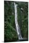 Waterfall on Milford Sound-Franz Marc Frei-Mounted Photographic Print