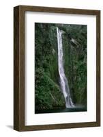 Waterfall on Milford Sound-Franz Marc Frei-Framed Photographic Print