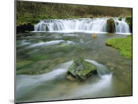 Waterfall on River Lathkill, Lathkill Dale, Peak District National Park, Derbyshire, England-Pearl Bucknell-Mounted Photographic Print