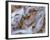 Waterfall, Ophir Pass, Colorado, USA-Cathy & Gordon Illg-Framed Photographic Print