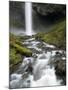 Waterfall, Oregon, United States of America, North America-Colin Brynn-Mounted Photographic Print