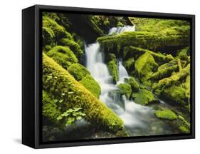 Waterfall over Moss Covered Rock, Olympic National Park, Washington, USA-Stuart Westmoreland-Framed Stretched Canvas