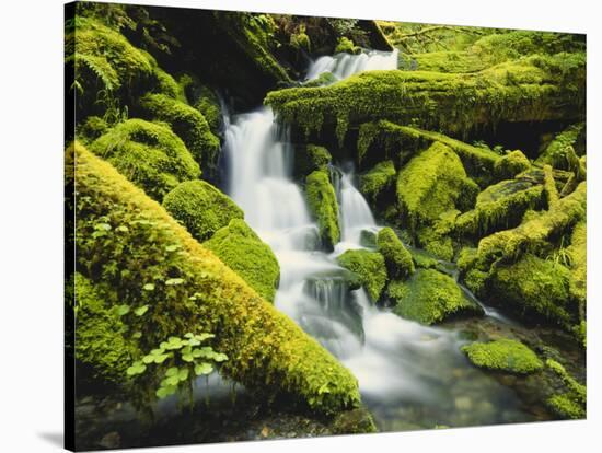 Waterfall over Moss Covered Rock, Olympic National Park, Washington, USA-Stuart Westmoreland-Stretched Canvas