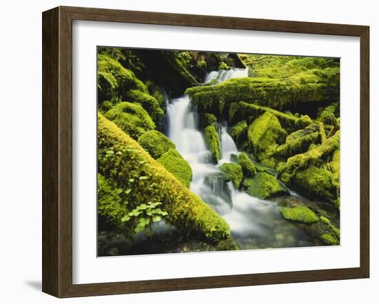 Waterfall over Moss Covered Rock, Olympic National Park, Washington, USA-Stuart Westmoreland-Framed Photographic Print