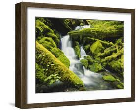 Waterfall over Moss Covered Rock, Olympic National Park, Washington, USA-Stuart Westmoreland-Framed Photographic Print