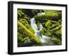 Waterfall over Moss Covered Rock, Olympic National Park, Washington, USA-Stuart Westmoreland-Framed Photographic Print