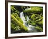 Waterfall over Moss Covered Rock, Olympic National Park, Washington, USA-Stuart Westmoreland-Framed Photographic Print