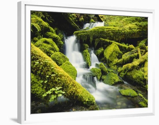 Waterfall over Moss Covered Rock, Olympic National Park, Washington, USA-Stuart Westmoreland-Framed Photographic Print