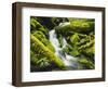 Waterfall over Moss Covered Rock, Olympic National Park, Washington, USA-Stuart Westmoreland-Framed Photographic Print