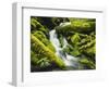 Waterfall over Moss Covered Rock, Olympic National Park, Washington, USA-Stuart Westmoreland-Framed Photographic Print