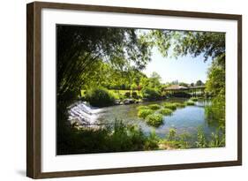 Waterfall, Pond, Bamboo Grove and Straw Roof Hut at West Lake, Hangzhou, Zhejiang, China-Andreas Brandl-Framed Photographic Print