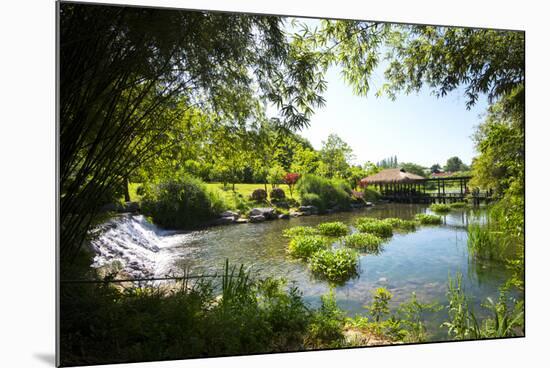 Waterfall, Pond, Bamboo Grove and Straw Roof Hut at West Lake, Hangzhou, Zhejiang, China-Andreas Brandl-Mounted Photographic Print