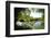 Waterfall, Pond, Bamboo Grove and Straw Roof Hut at West Lake, Hangzhou, Zhejiang, China-Andreas Brandl-Framed Photographic Print