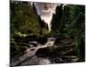 Waterfall, River Severn, Hafren Forest, Wales-Clive Nolan-Mounted Photographic Print
