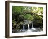 Waterfall Schiessentumpel at Mullerthal, Luxembourg, Europe-Hans Peter Merten-Framed Photographic Print