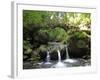 Waterfall Schiessentumpel at Mullerthal, Luxembourg, Europe-Hans Peter Merten-Framed Photographic Print