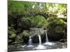 Waterfall Schiessentumpel at Mullerthal, Luxembourg, Europe-Hans Peter Merten-Mounted Photographic Print