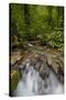 Waterfall, Semuc Champey, Guatemala, Central America-Colin Brynn-Stretched Canvas