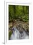 Waterfall, Semuc Champey, Guatemala, Central America-Colin Brynn-Framed Photographic Print