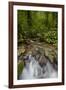 Waterfall, Semuc Champey, Guatemala, Central America-Colin Brynn-Framed Photographic Print