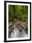 Waterfall, Semuc Champey, Guatemala, Central America-Colin Brynn-Framed Photographic Print