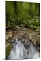 Waterfall, Semuc Champey, Guatemala, Central America-Colin Brynn-Mounted Photographic Print